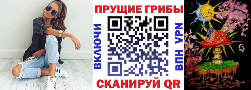 Псилоцибиновые грибы мицелий  Купить где  Петров Вал 